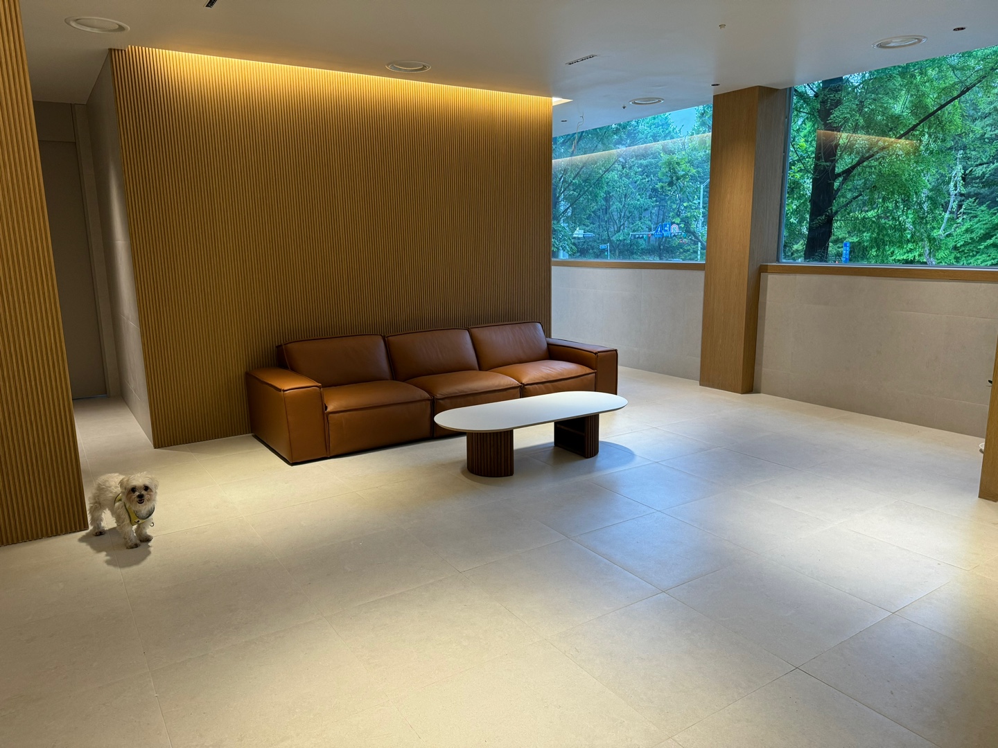 2944235522_VpLfjh4k_eff7749aa471175d98ed43a4a05e26d368037f60