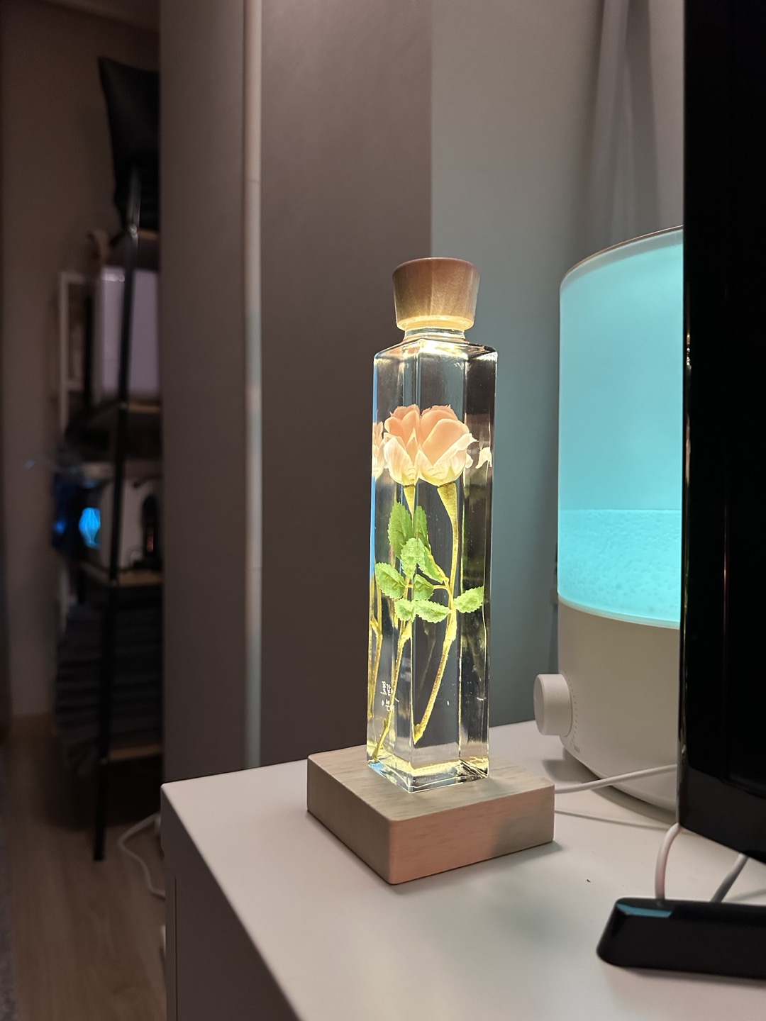 3695990318_TZvpOfI8_10763d98f0d8852274427c3c0b2927945f4cf76c